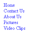 Text Box: Home
Contact Us
About Us
Pictures
Bird Feeder Cam

